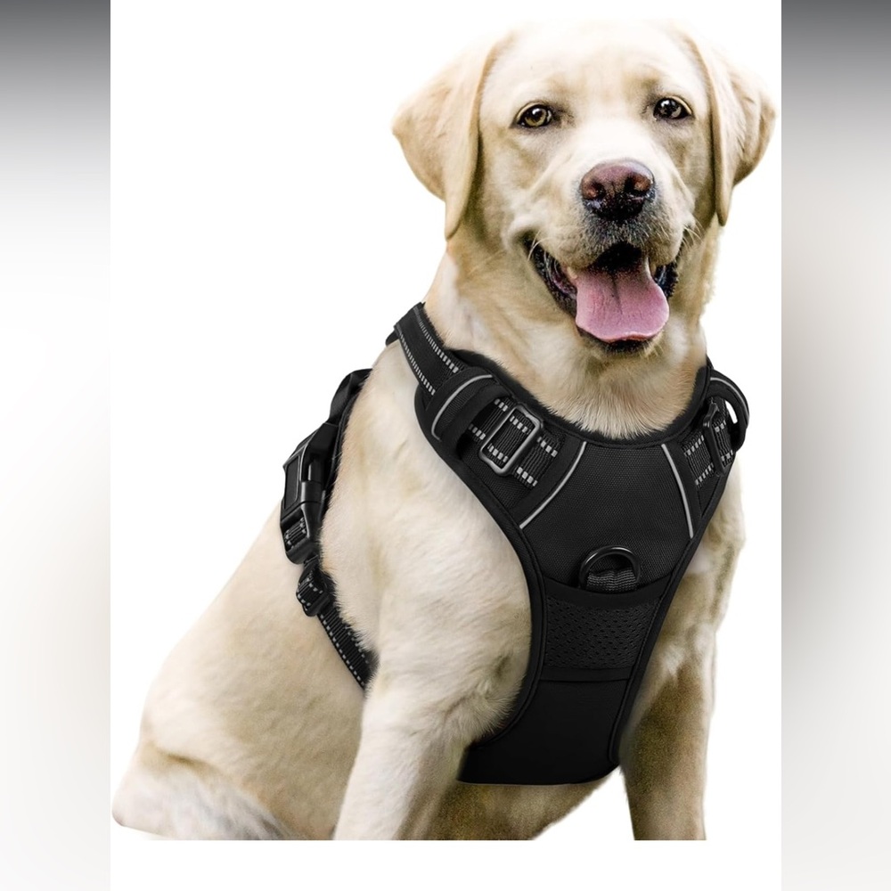 Black Everyday Dog Harness